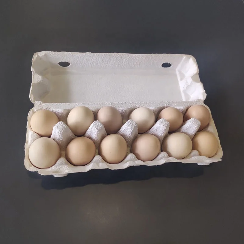Hot Sale Customized Environmentally Paper Pulp Unique Coloured Egg Cartons