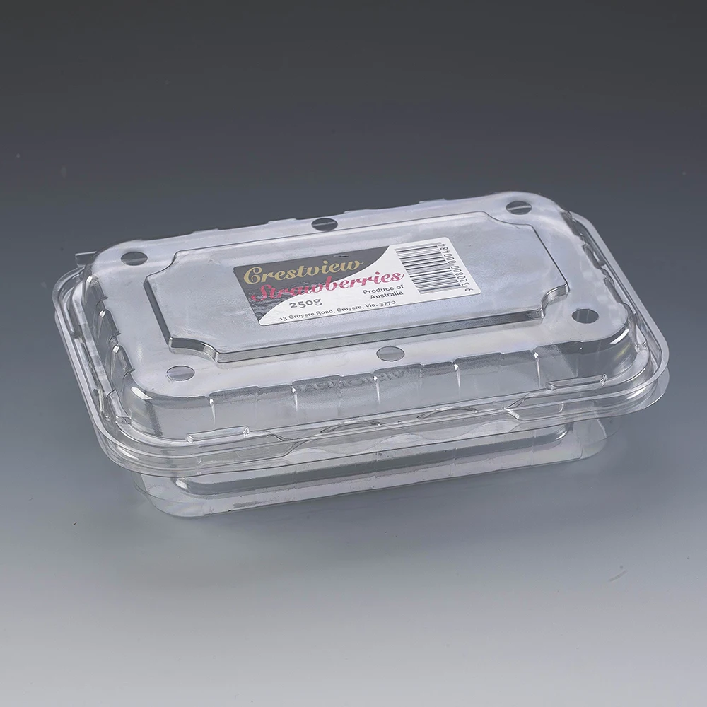 Hotel Buying Request Disposable Plastic Food Container for Fresh Fruit With Lid Biodegradable Plate