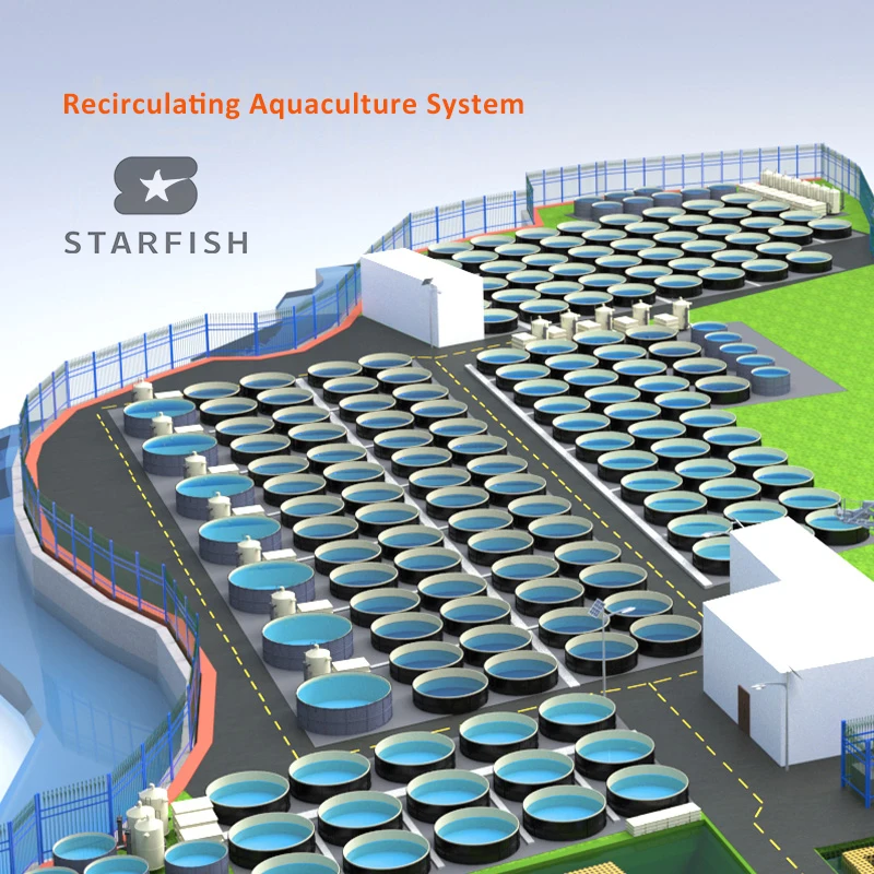 Smart & Easy RAS High Density Breeding  Fish Equipment Automatic Recirculating Aquaculture System  for Farming Fish