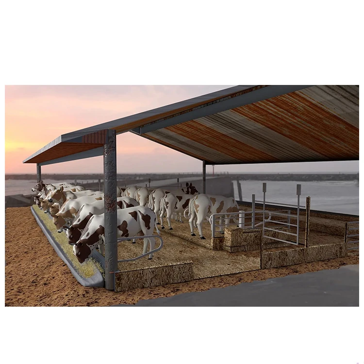Сборная стальная конструкция Cowshed молочная ферма для крупного рогатого