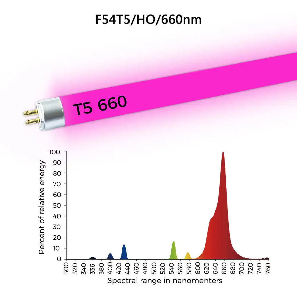 2024 28w t5 Lamp Led Lamp t5 Led Lamp