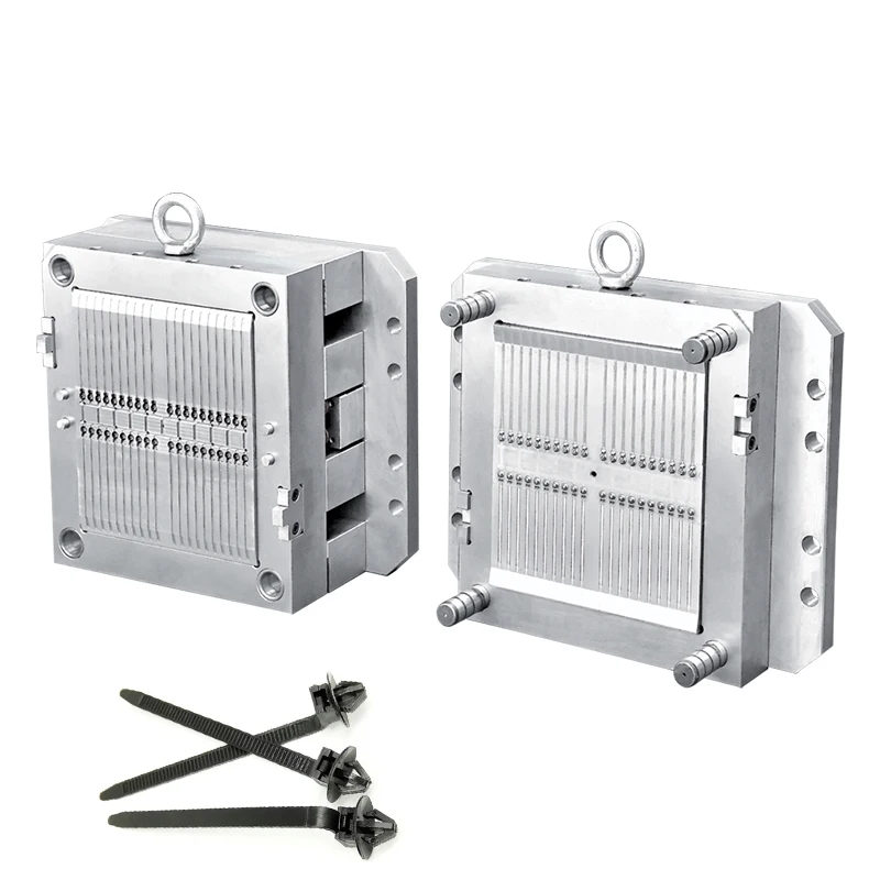 Plastic Mold Small Auto Clip Mould Items Manufactured Die
