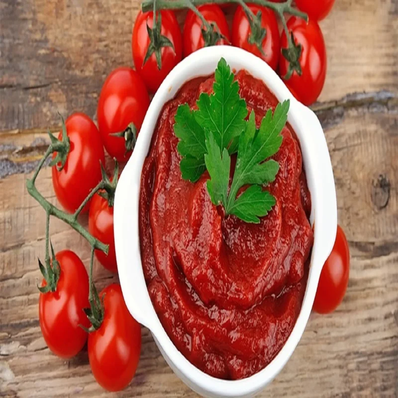 Indian best quality Tomato paste concentrate brix 28 30  use on pizza sauce or ketchup soon available in large can