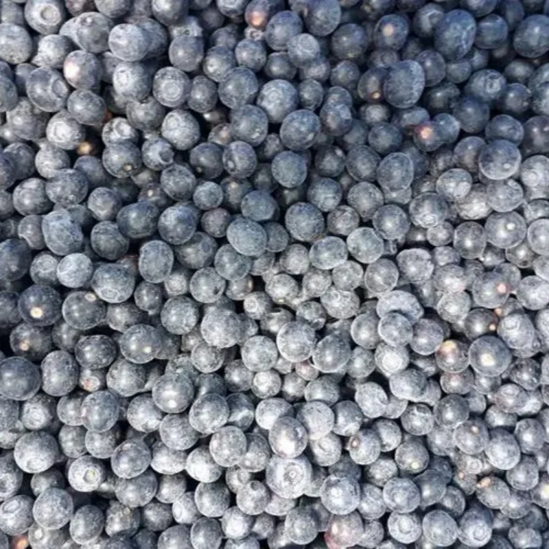 frozen blueberry 5