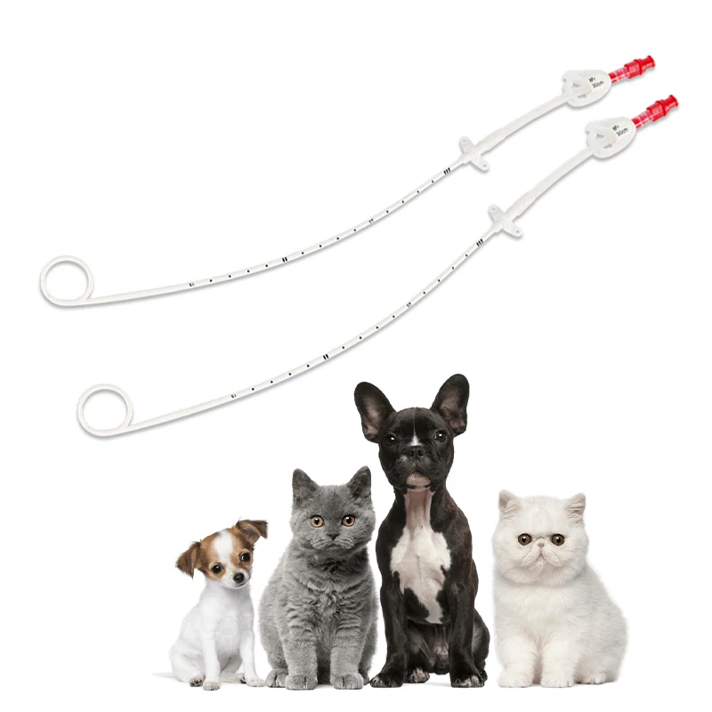 High-Quality Double Lumen Catheter Kit Catheter Bag for Veterinary Hemodialysis Hot Sale Triple Lumen Dialysis Catheter