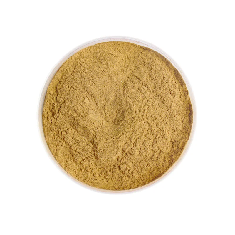 Chinese Medicine Herb Astragalus Extract Health supplement astragalus root extract Yellowish Fine Brown Powder