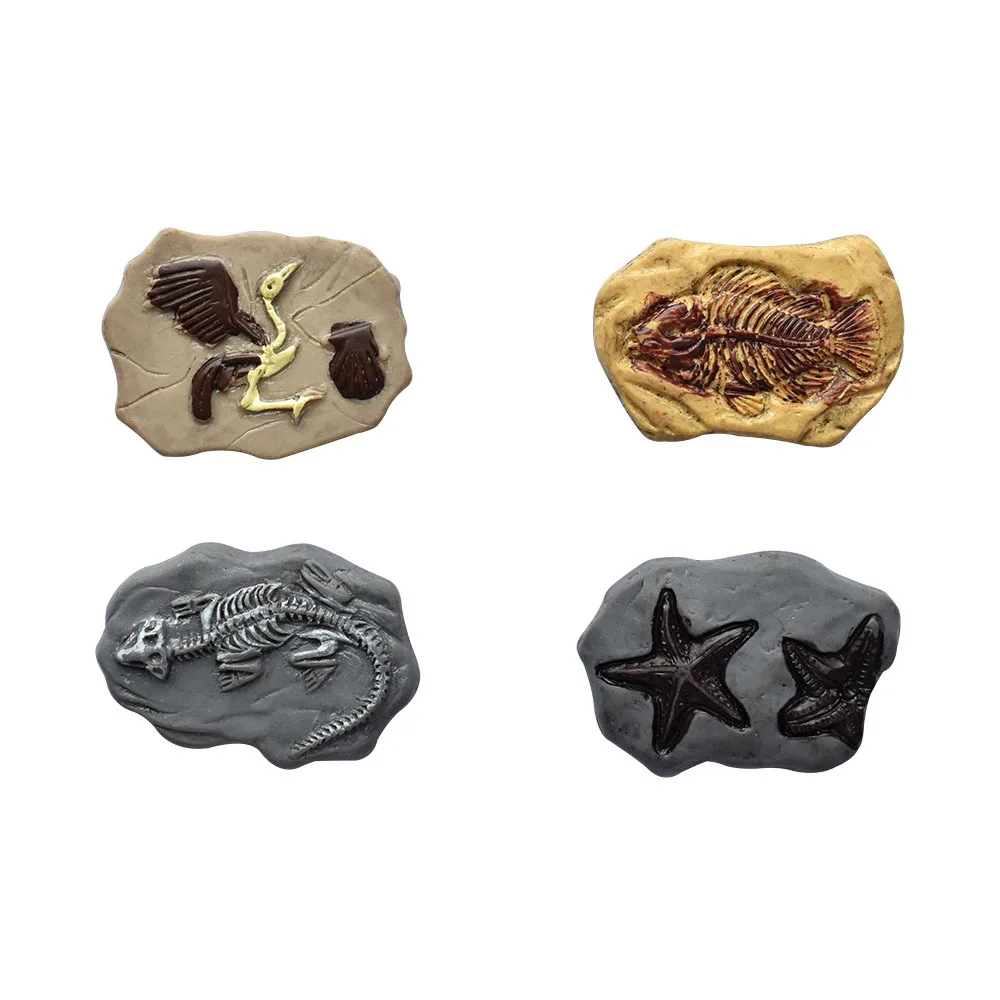 Fossils Of Animals Dinosaurs Fish And Birds Flatback Resin Charms For Slime Mobile Case Keychain DIY Craft Decoration