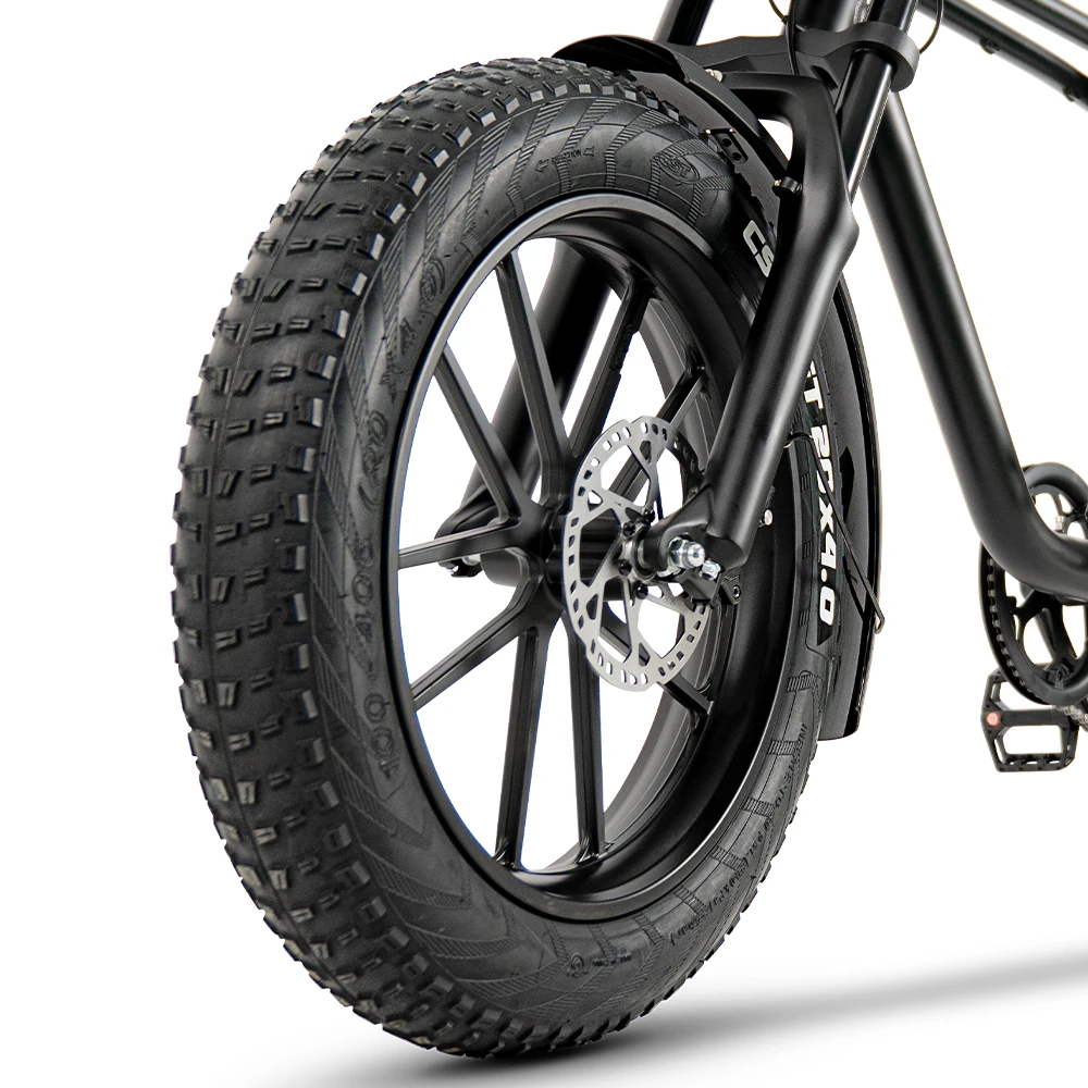 TOODI K20 750/1000W Power Motor Superior Electric Bike Highly Cost Effective Electric Mountain Bike