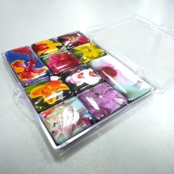 Custom design Souvenir Epoxy Resin fridge magnet set with plastic box packing,  epoxy magnets set