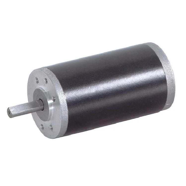Marine Animal Feeding Application Brushed DC Motor 12V