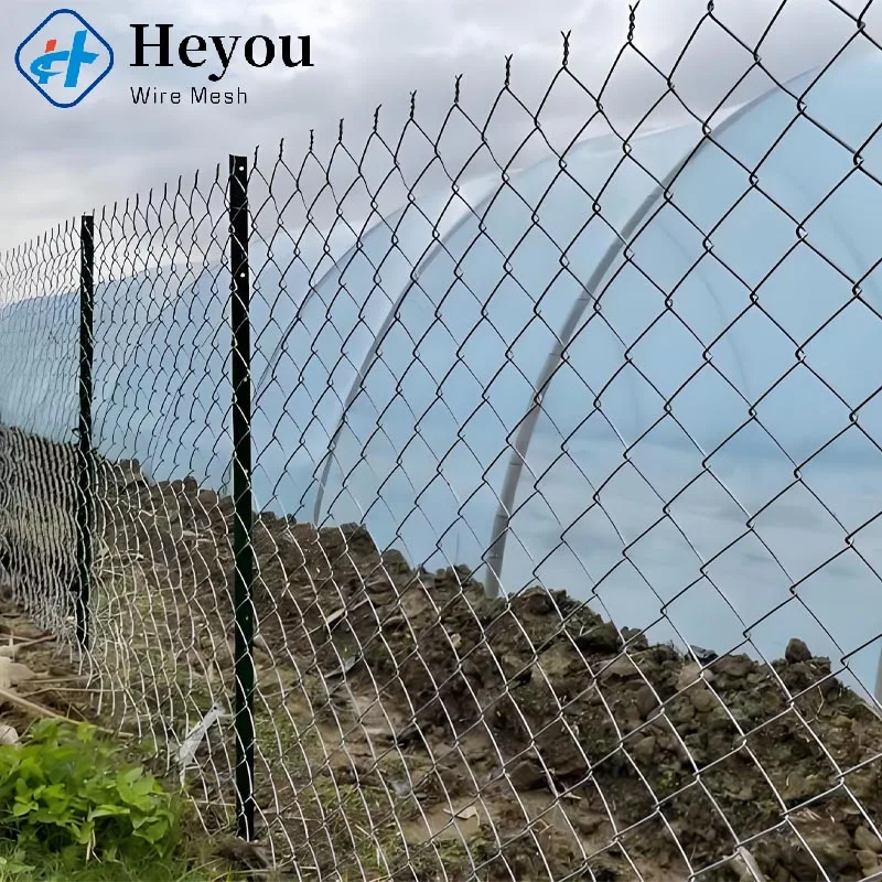 Factory 9 Gauge 3.0mm Pvc Coated  Chain Link Fence Diamond Wire Mesh Fence Cyclone Chain Link Mesh Fencing