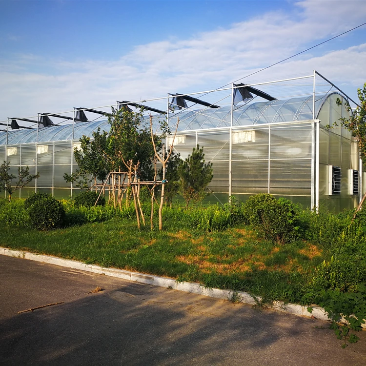 Agricultural Greenhouse Price