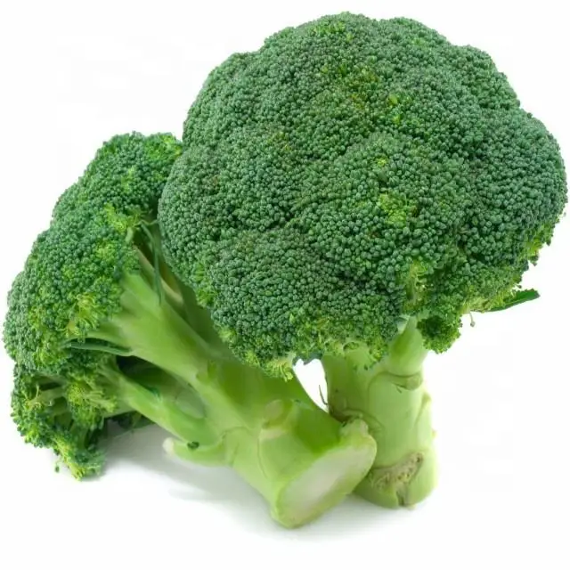 Fresh broccoli good quality broccoli wholesale fresh broccoli supplier from China