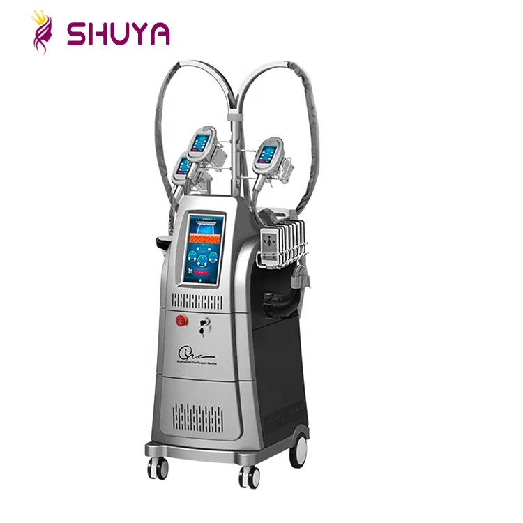 
Cryolipolisis 360 Top pdt crypolysis fat freezing system machine freezefats slimming machine 