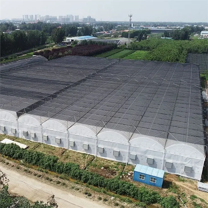 FM Cheapest In Stock Turnkey Projects Plastic Film Agricultural Tomato Hydroponics invernadero Green House Greenhouse