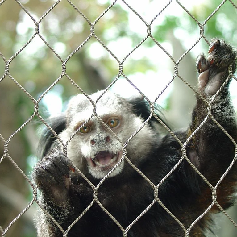 Сетка из Проволочной веревки/сетка для зоопарка/оболочка для животных, оптовая продажа, ручная работа, нержавеющая сталь, алмаз 7X7 , 7X19 1,2-3,2 мм 20-200 мм CN; Гарри