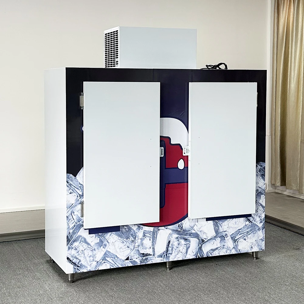 1000L Ice Storage Room Cold Room Freezer For Bag Ice