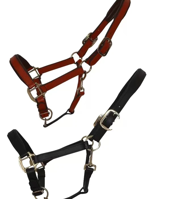 NEW ARRIVAL PVC Halter Horse Harness Riding Equipment Head Collar Leather  Bride Horse Foal Halter Rack