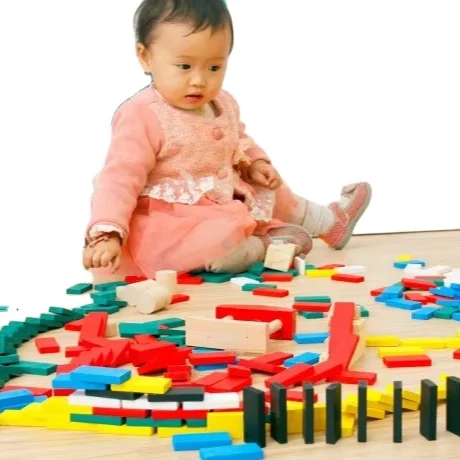 Wooden Block Organ Dominoes for Younger Audiences