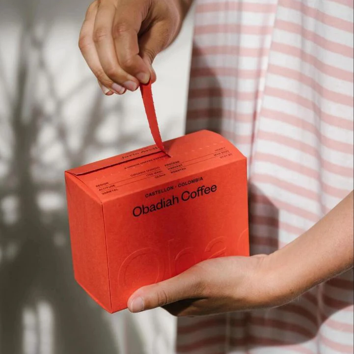 Custom Printed Self-Sealing Corrugated Cardboard paper Mailer Shipping Gift Box with Tear Strip