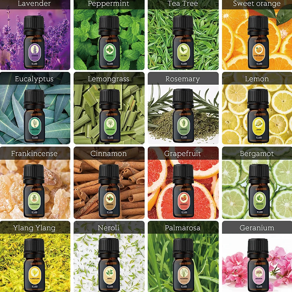 16 Scent Aromatherapy Essential Oils Private Label Gift Set 5ml Lavender Oil For Diffuser Relaxation And Calming