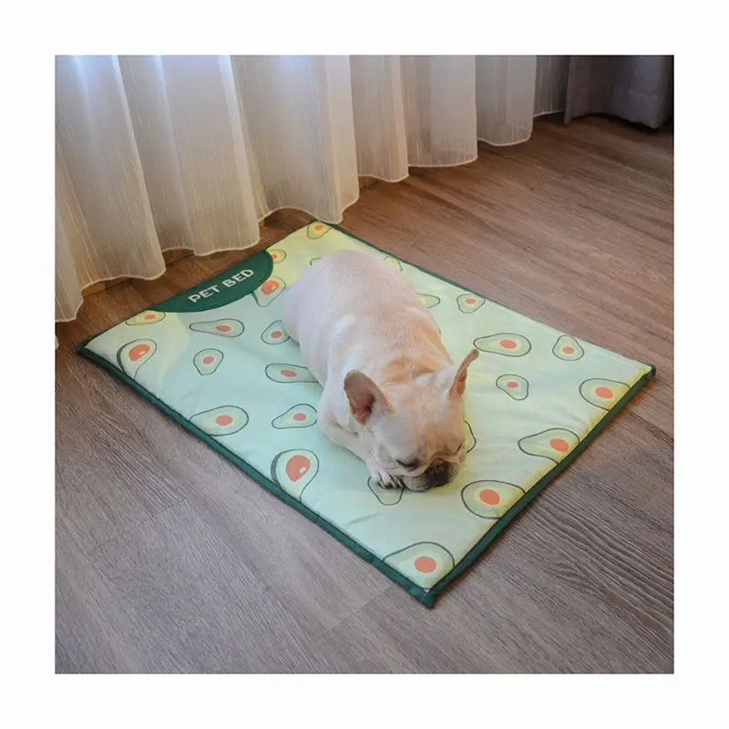 Pet beds for summer