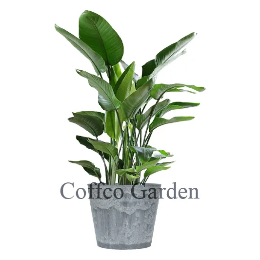 Coffco Large Plastic Flowerpot 12-inch Stone Effect Round Planter Pot Custom Color Hydroponic Bonsai Plant Vases Garden Decor