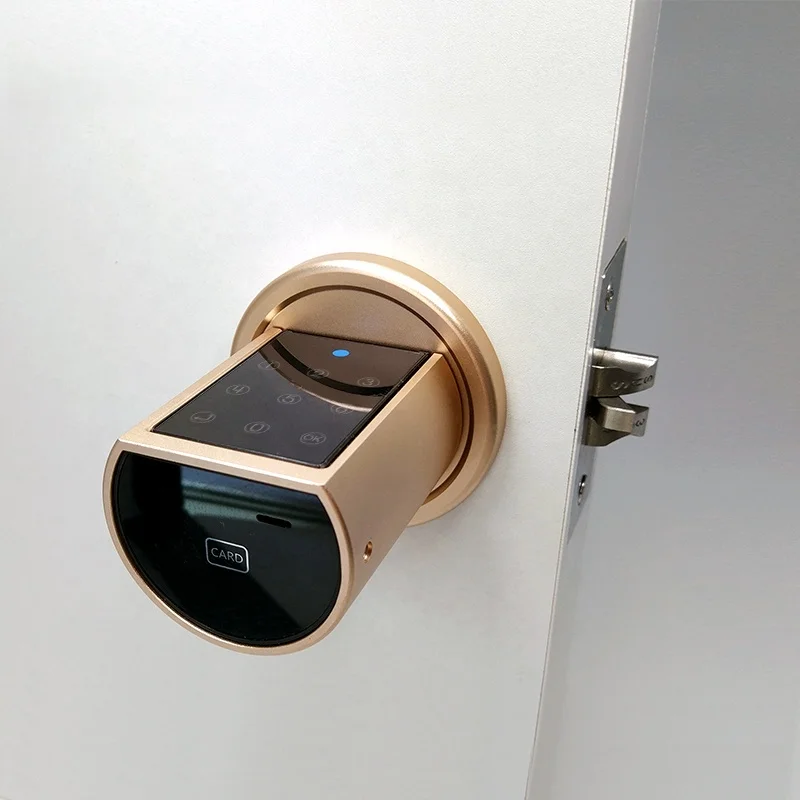 Смарт Keyless Пароль карты цилиндров Блокировка App Deadbolt дверной замок для квартиры