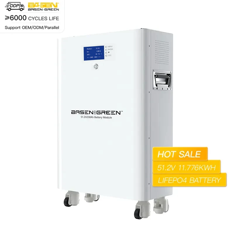 EU Stock Basengreen Energy Storage System 48V 51.2V Lithium Ion Battery Pack Power Pack Lifepo4 Battery 100AH 200AH With BMS