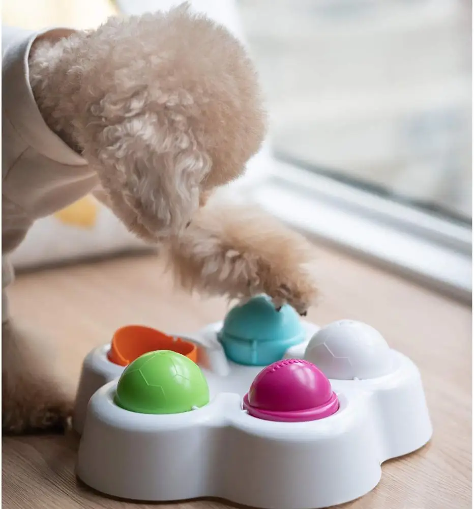 Pet IQ Intelligent Toy Smart Dog Puzzle Toys for Beginner Puppy Training Treat Dispenser Interactive Dog Toys