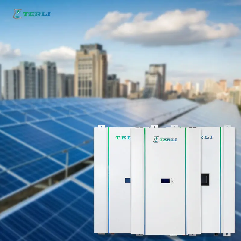Powerwall home battery lifepo4 25 kw 48 volt 48V smart bms 51.2V 200Ah 50ah Lithium Battery for Solar Energy Storage