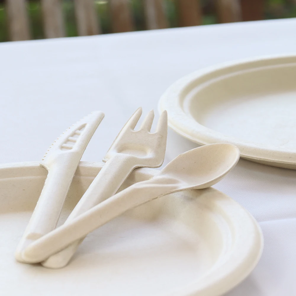 Disposable Sugarcane Bagasse Fiber Dinner Sets Bamboo pulp Cutlery Disposable Paper Knife