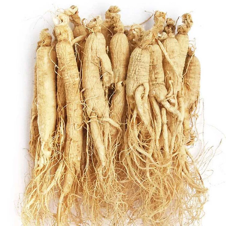Buy Ginseng Root Online An Ginseng Extract Black Koreano Ginseng Powder Price