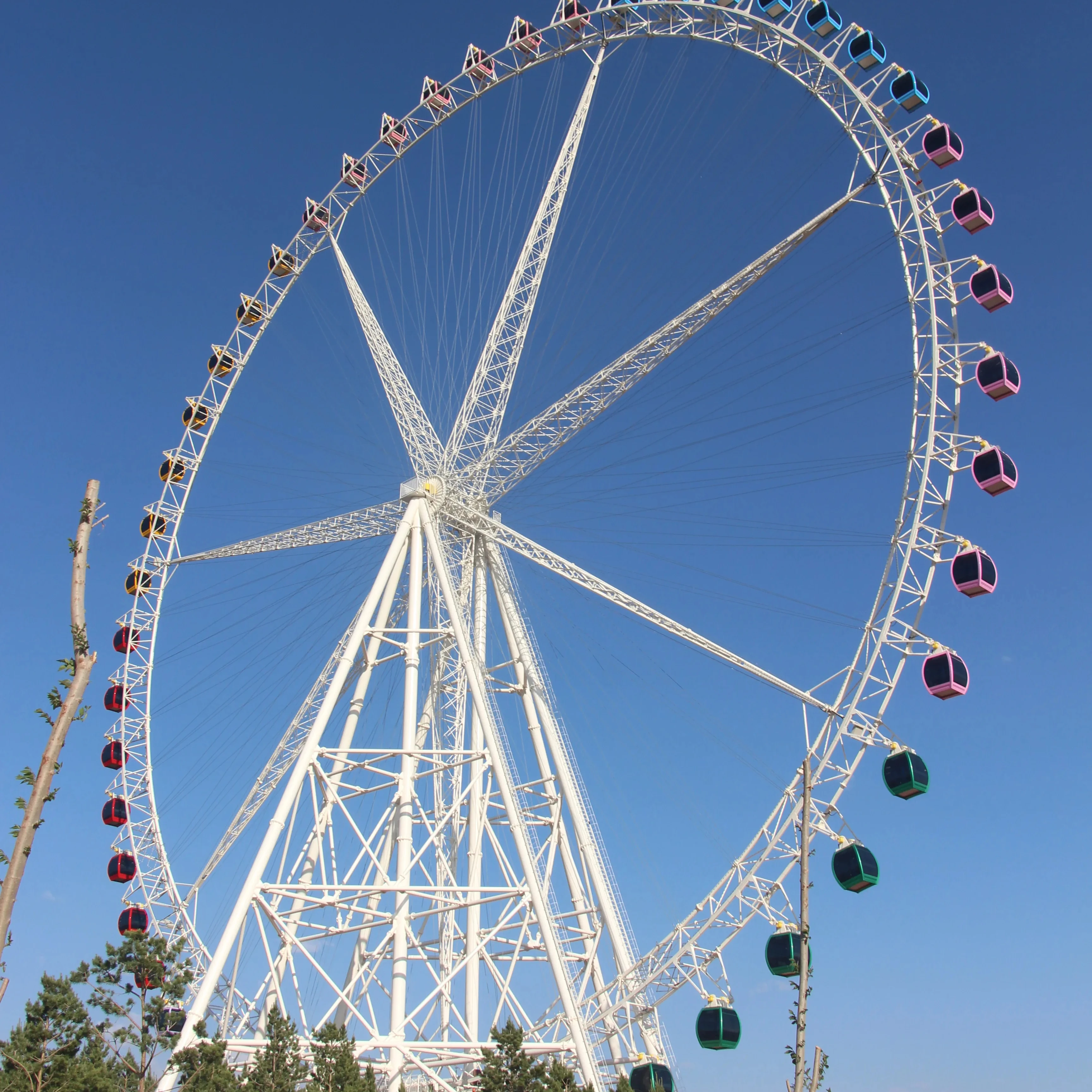 Carnival Attraction Children Wheel Customized Theme Park Games Big Ferris Wheel