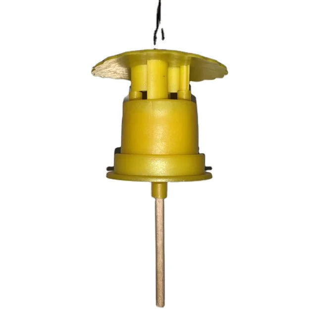 Non toxic Bactrocera dorsalis fruit fly pheromone lure melon fly bait Bactrocera cucurbitae lure trap