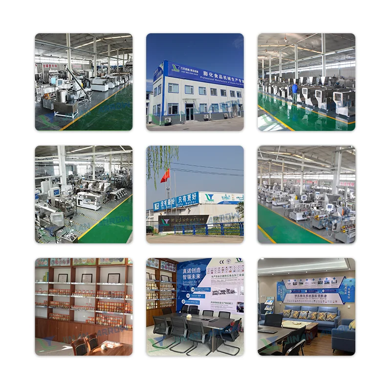 Customized Pellet Extruding&Frying Extruder Machine Extruder Pelletizer