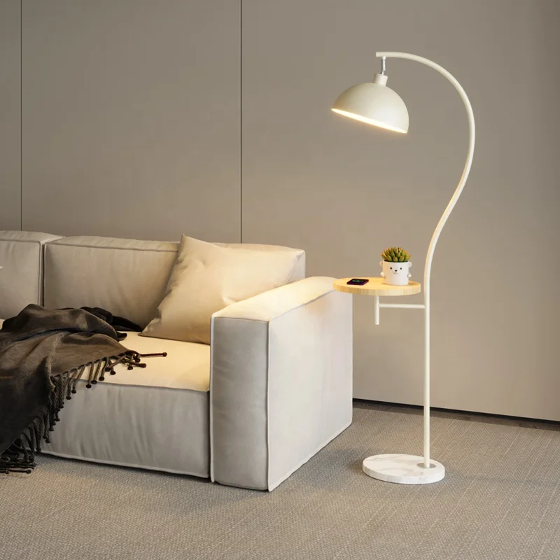 Fishing lamp, floor lamp, living room sofa, ambient light, storage rack, integrated practical decorative lighting