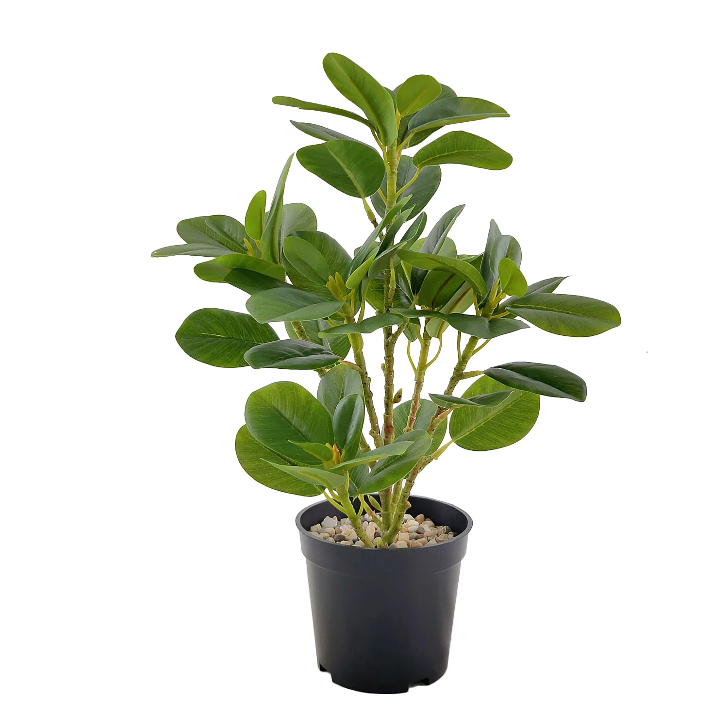 simulate green plants wholesale plant artificial real succulent agave leaf woody plant wedding walls live home decor green