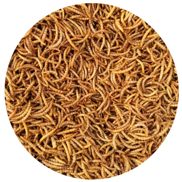Hunan peto factory price wholesale price pet snacks Yellow mealworm pet freeze-dried snacks factory food high protein