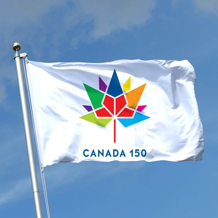 Customized Flags 3x5ft Double-Sided 100% Polyester Blank Logo Outdoor Flying Screen Printing Banners 3x5 Custom Flag