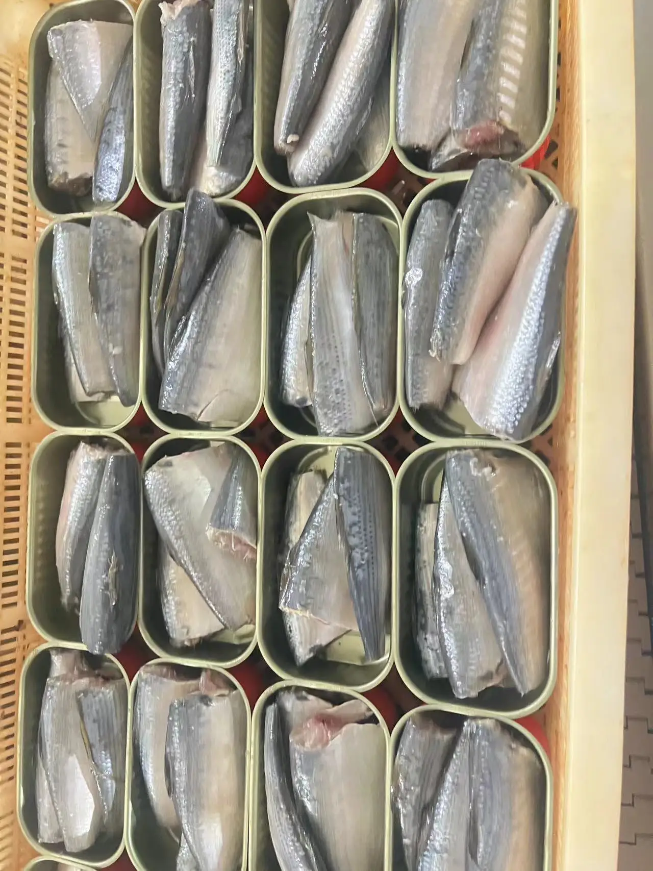 Factory Price Good Taste Canned Fresh Sardines In Vegetable Oil Vitamin-Packed
