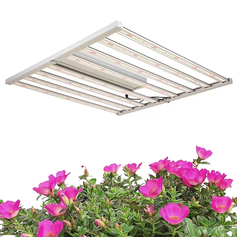 Factory Led Plant Lighting Cover 2ft Footprint 2000w Full Spectrum Led Grow Light LUX China Quantity Silver Luminous Flower