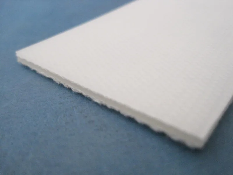 Custom High grade standards 3.0mm common plane transport pe conveyor belt