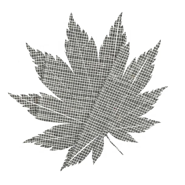 
Composite tire of polyester tire with base cloth for roof waterproof and leak-proof coil 