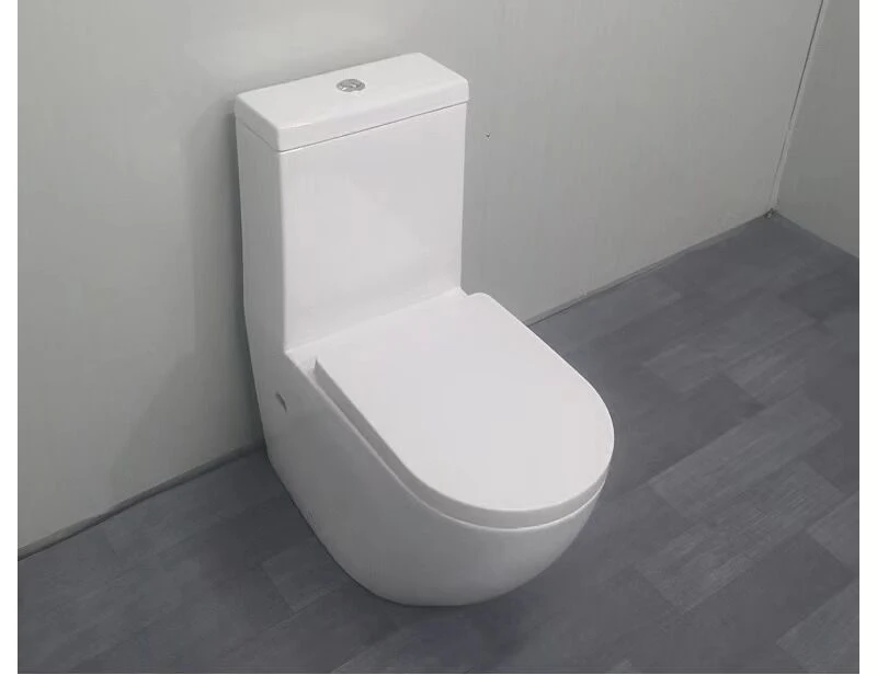 Dual Flush One-Piece Elongated Toilet Black Floor Mounted Ceramic Wc Toilet Bowl