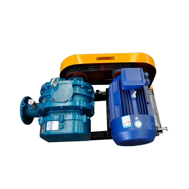 RSR Воздуходувка Рутс в качестве дожимных насосов для согласования выходного давления высоковакуумных и входного давления форвак