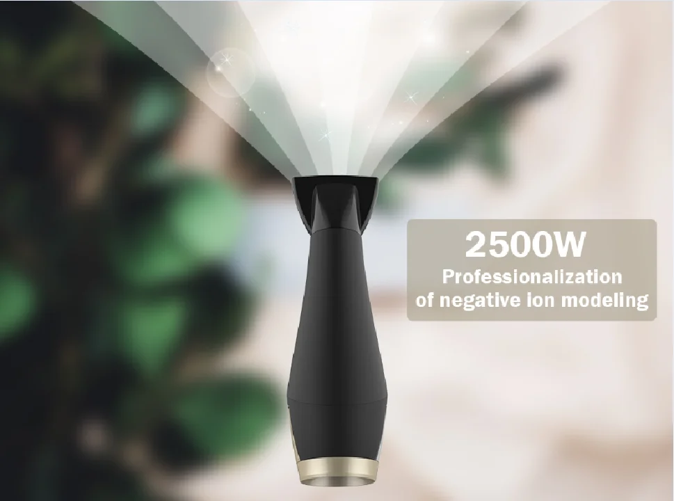 2500W 11000rpm 13000rpm Dc Motor Hang Loop Portable Blow Dryer Hairdryer Professional Powerful Ionic Hair Dryer