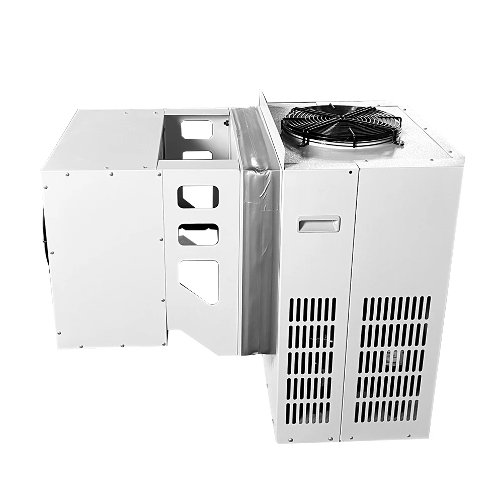 Wall mounted monoblock Cold Room refrigeration condenser unit for cold room