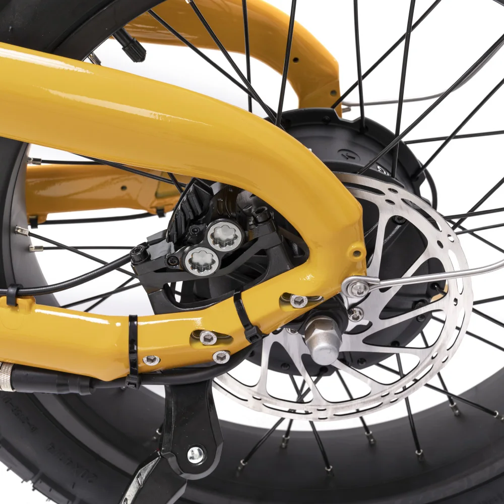 2023 Mario New Bird Hub Motor 250W Fat Tire Electric City Bike