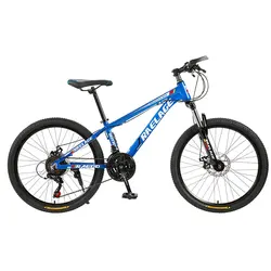 Alloy and cheap 21 speed 26 inch full suspension bikes fast trek mountain